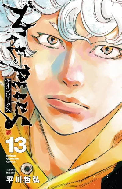 Cover of Vol. 13