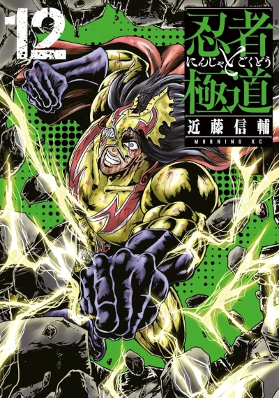 Cover of Vol. 12