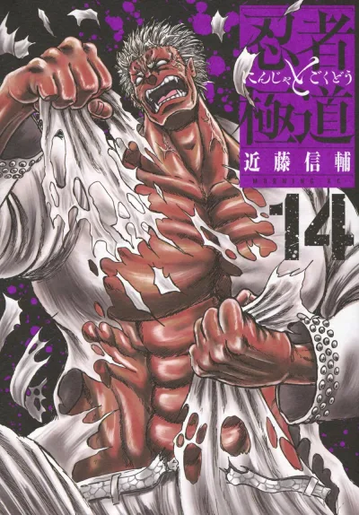 Cover of Vol. 14
