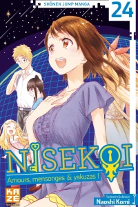 La nuit des étoiles filantes