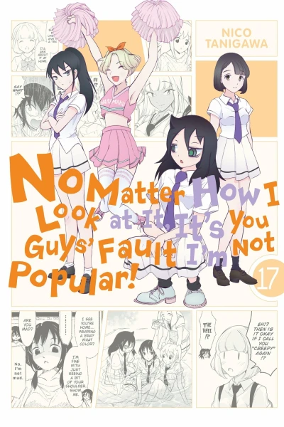 Cover of Vol. 17