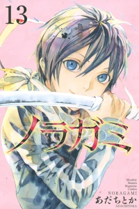 Vol. 13