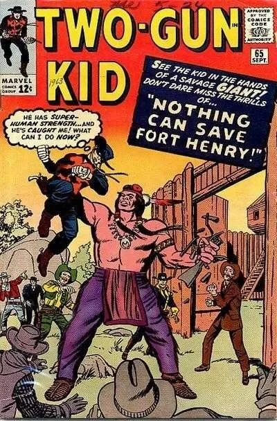 Cover of Nothing Can Save Fort Henry!