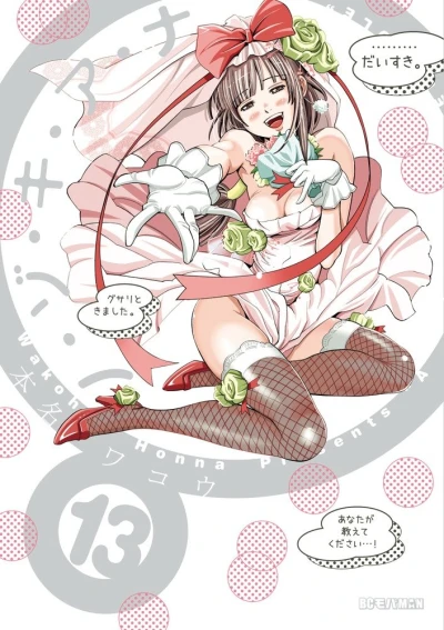 Cover of Volume 13