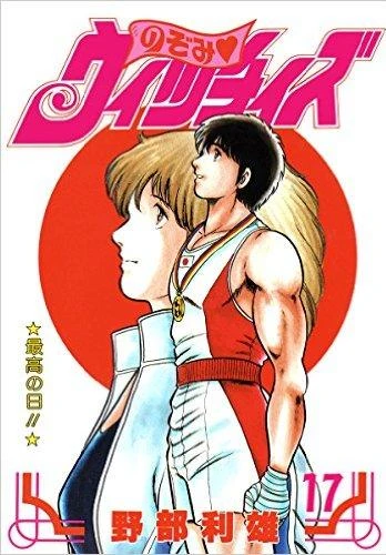 Cover of Volume #17