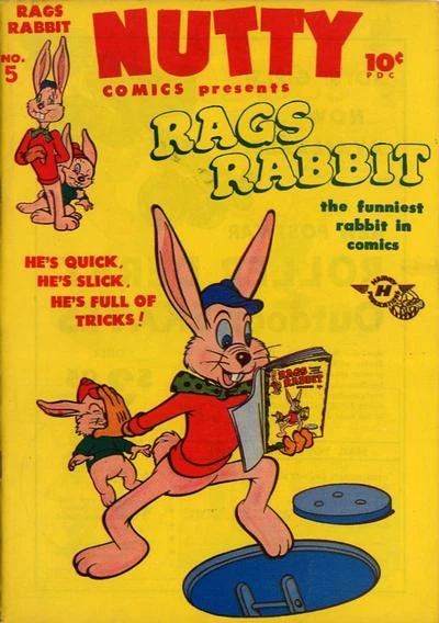 Cover of Rags Rabbit