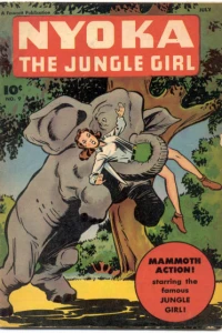 In the Flying Jungle, The Burmese Expidition