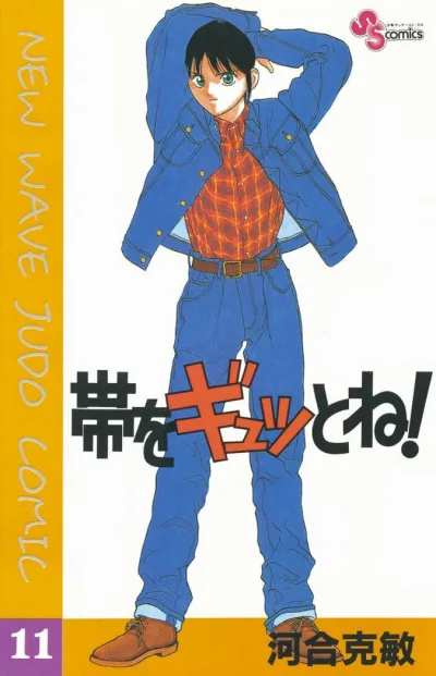 Cover of Vol. 11