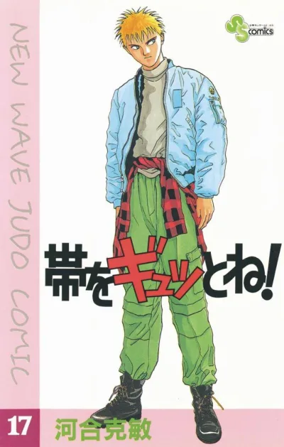Cover of Vol. 17