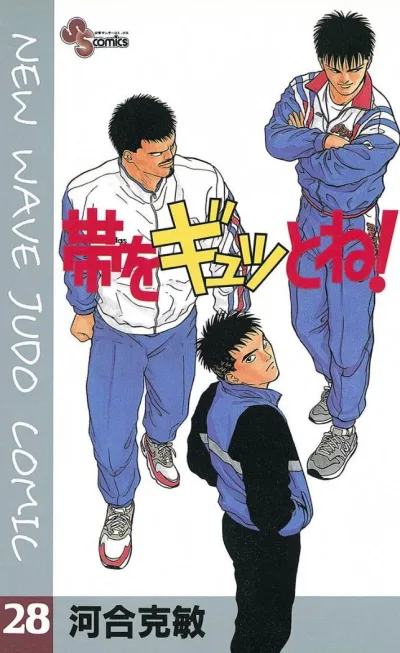Cover of Vol. 28
