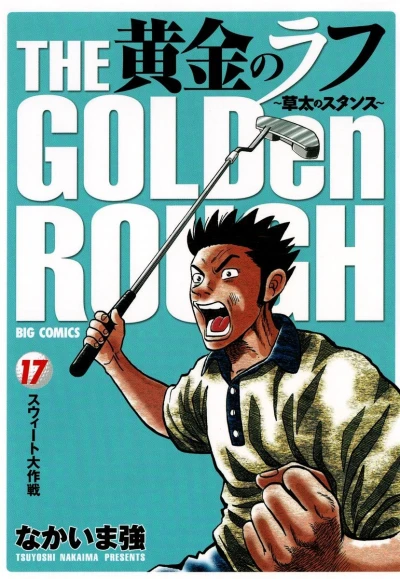 Cover of Vol. 17