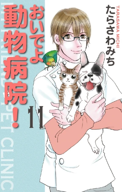 Cover of Vol. 11