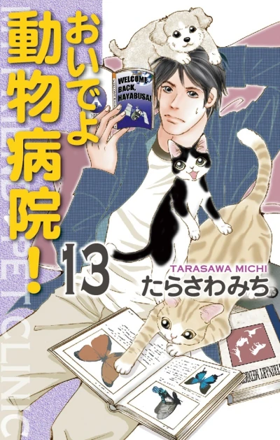 Cover of Vol. 13