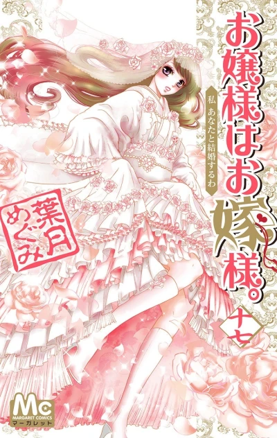 Cover of Vol. 17