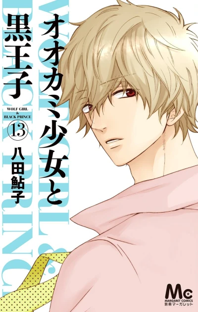 Cover of Vol. 13