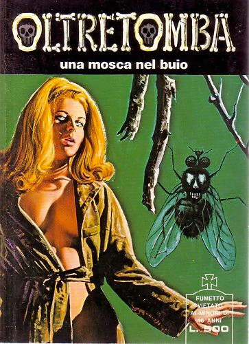 Cover of una mosca nel buio