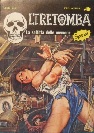 Cover of La soffitta delle memorie