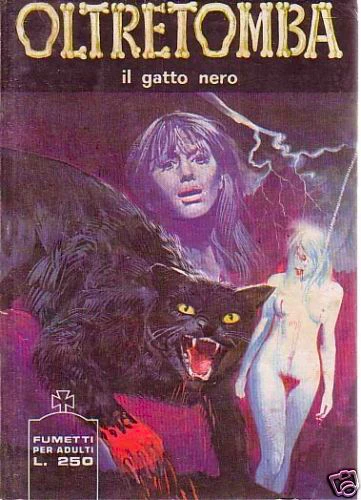 Cover of il gatto nero