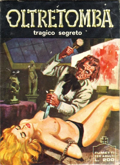 Cover of Tragico segreto