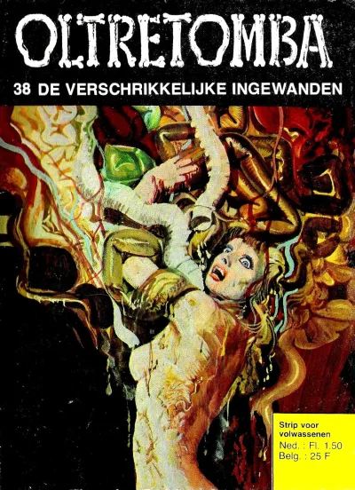 Cover of De verschrikkelijke ingewanden