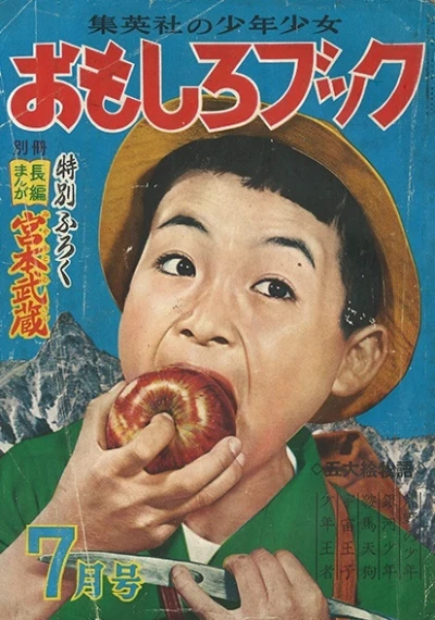 Cover of Volume #195307