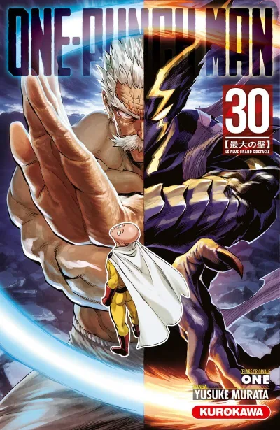 Cover of Volume #30