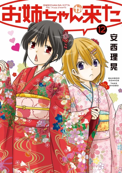 Cover of Vol. 12