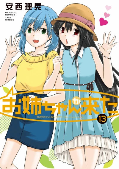 Cover of Vol. 13