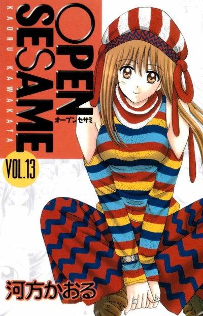 Cover of Vol. 13
