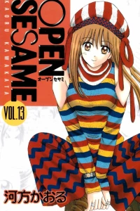 Vol. 13