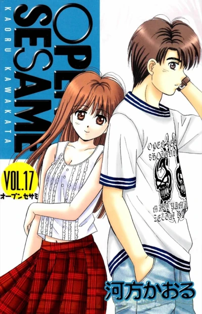 Cover of Vol. 17