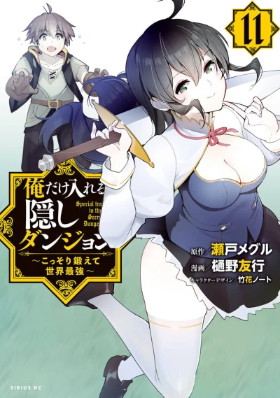 Cover of Vol. 11