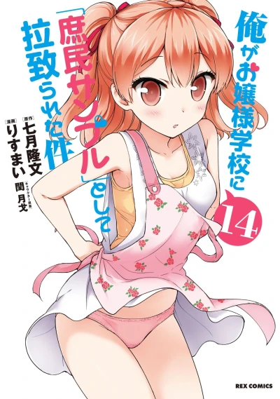 Cover of Vol. 14