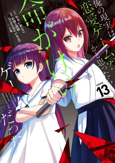 Cover of Volume 13