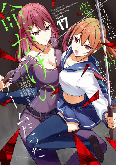 Cover of Volume 17