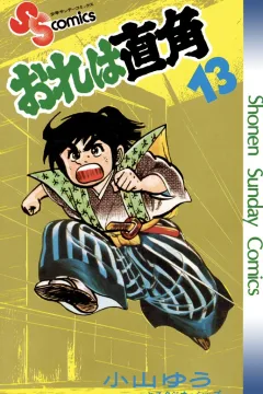 Vol. 13