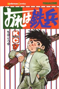 Vol. 17