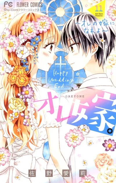 Cover of Vol. 11