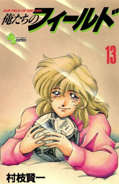 Cover of Volume 13