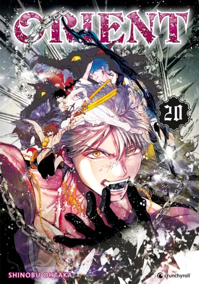 Cover of Volume #20