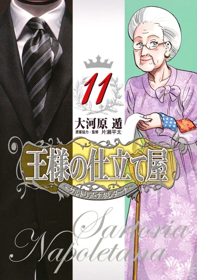 Cover of Vol. 11