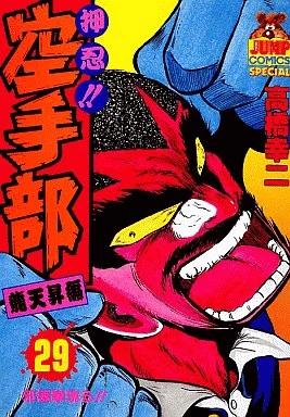 Cover of Vol. 29