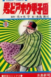 Vol. 11
