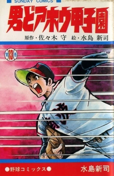 Cover of Vol. 13