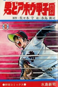 Vol. 13