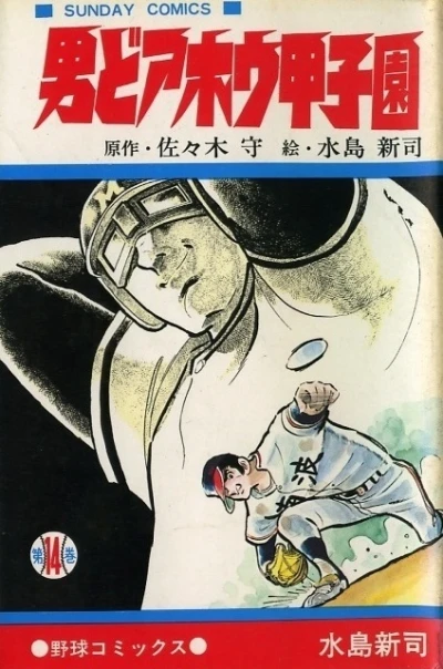 Cover of Vol. 14