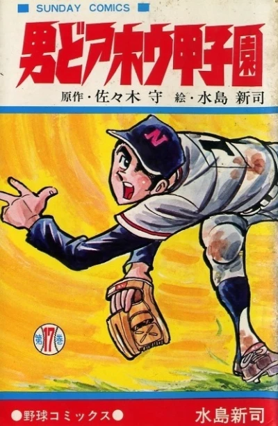 Cover of Vol. 17
