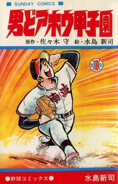 Cover of Vol. 18