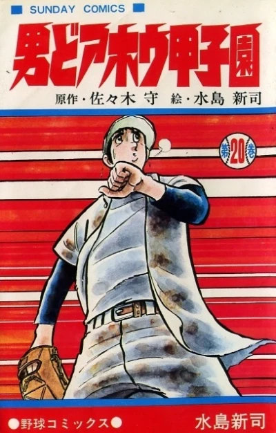 Cover of Vol. 20