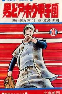 Vol. 20